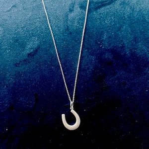 Tiffany & Co. Sterling Silver Horseshoe Necklace